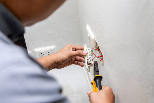 Best Electric Panel Repair  in Newport, OH